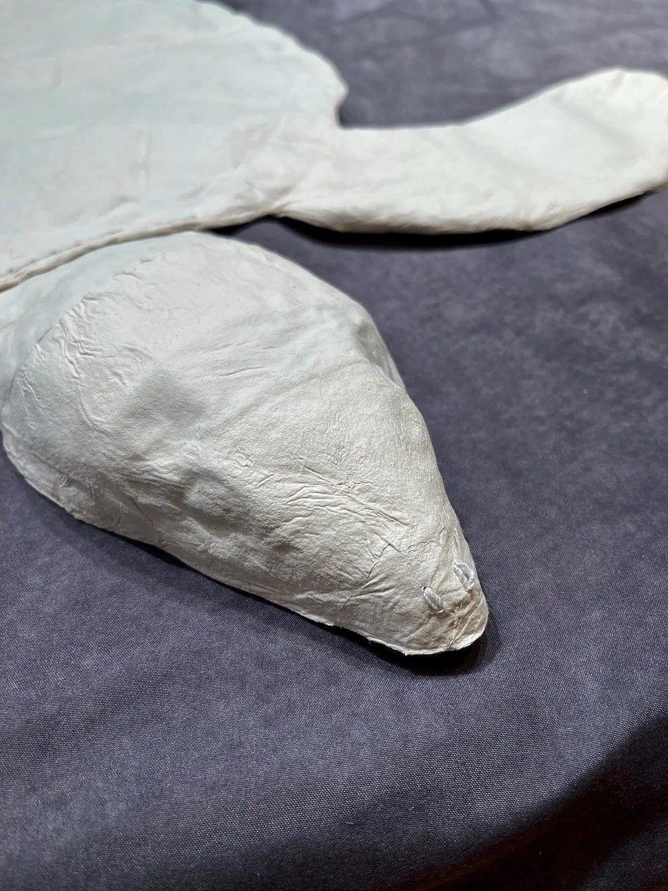 Sea Turtle Detail.jpeg