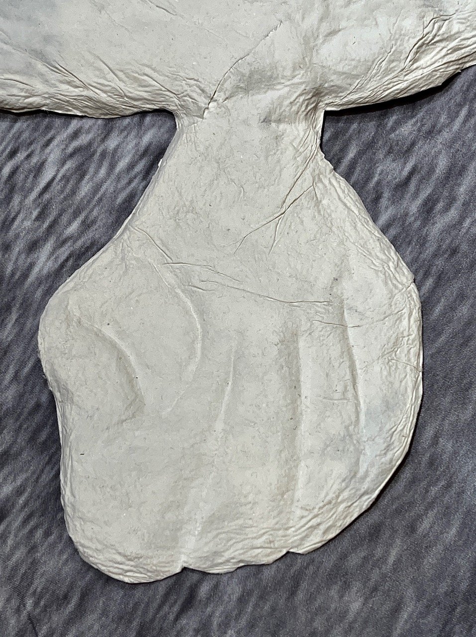 Sea Turtle Detail 2.jpeg