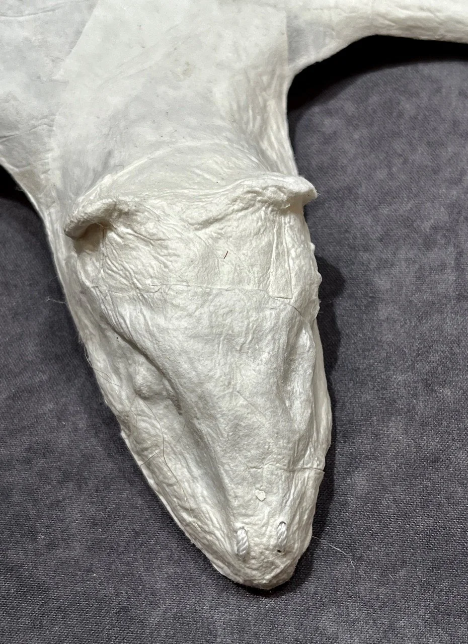 Rat Detail.jpeg