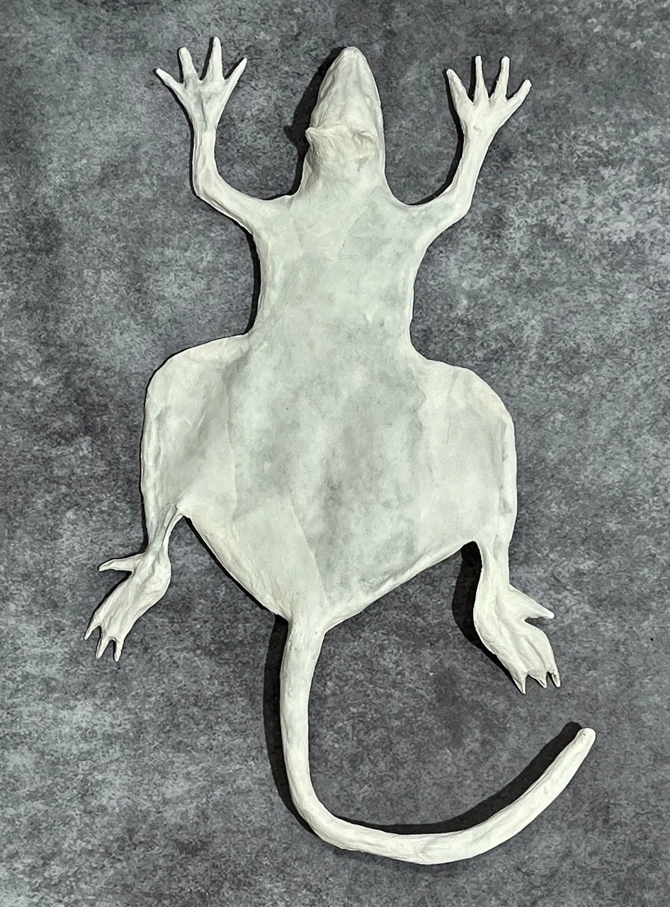 Rat.jpeg