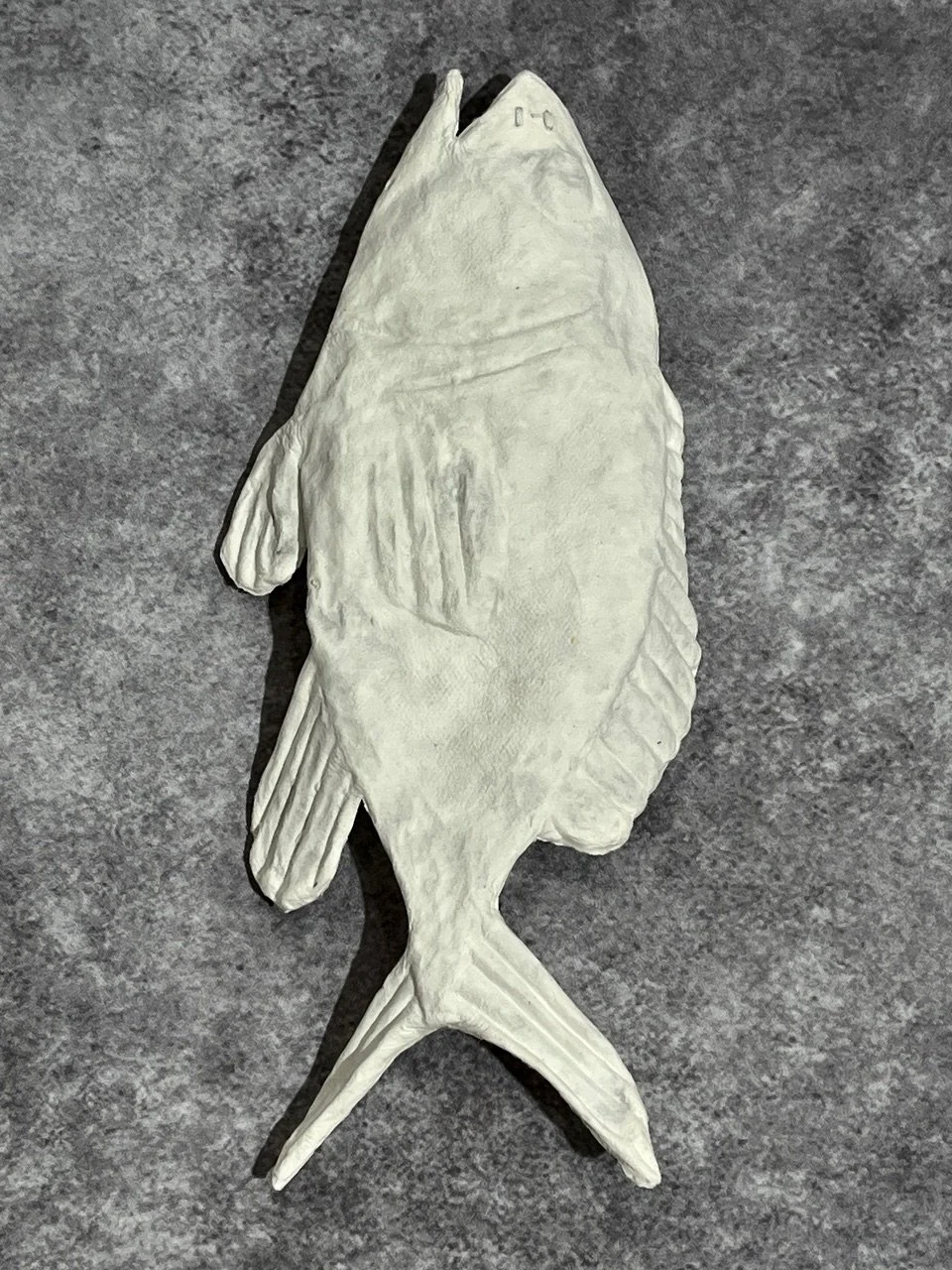 Orange Roughy.jpeg