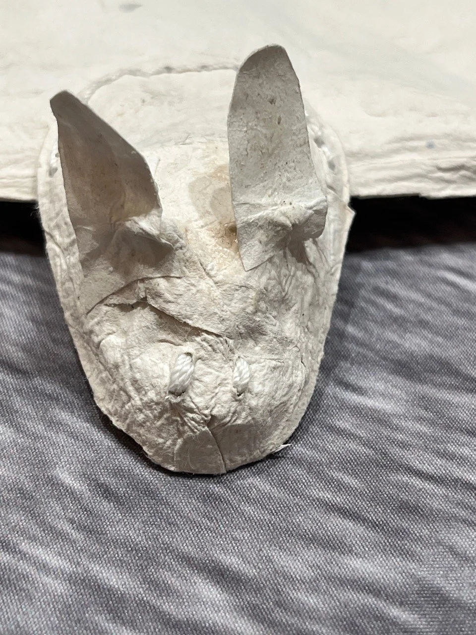 Northern Long Eared Bat Detail.jpeg