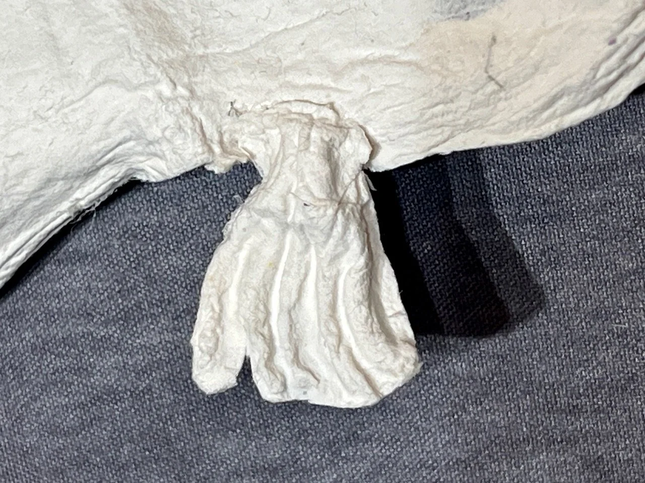 Northern Long Eared Bat Detail 2.jpeg