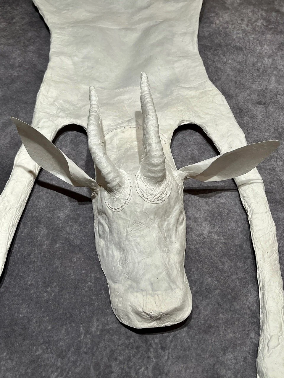 Dama Gazelle Detail.jpeg