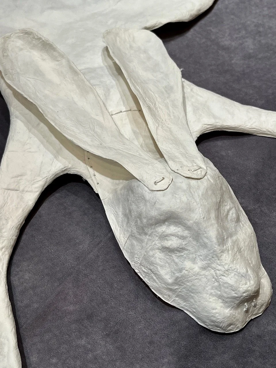 Riverine Rabbit Detail.jpeg
