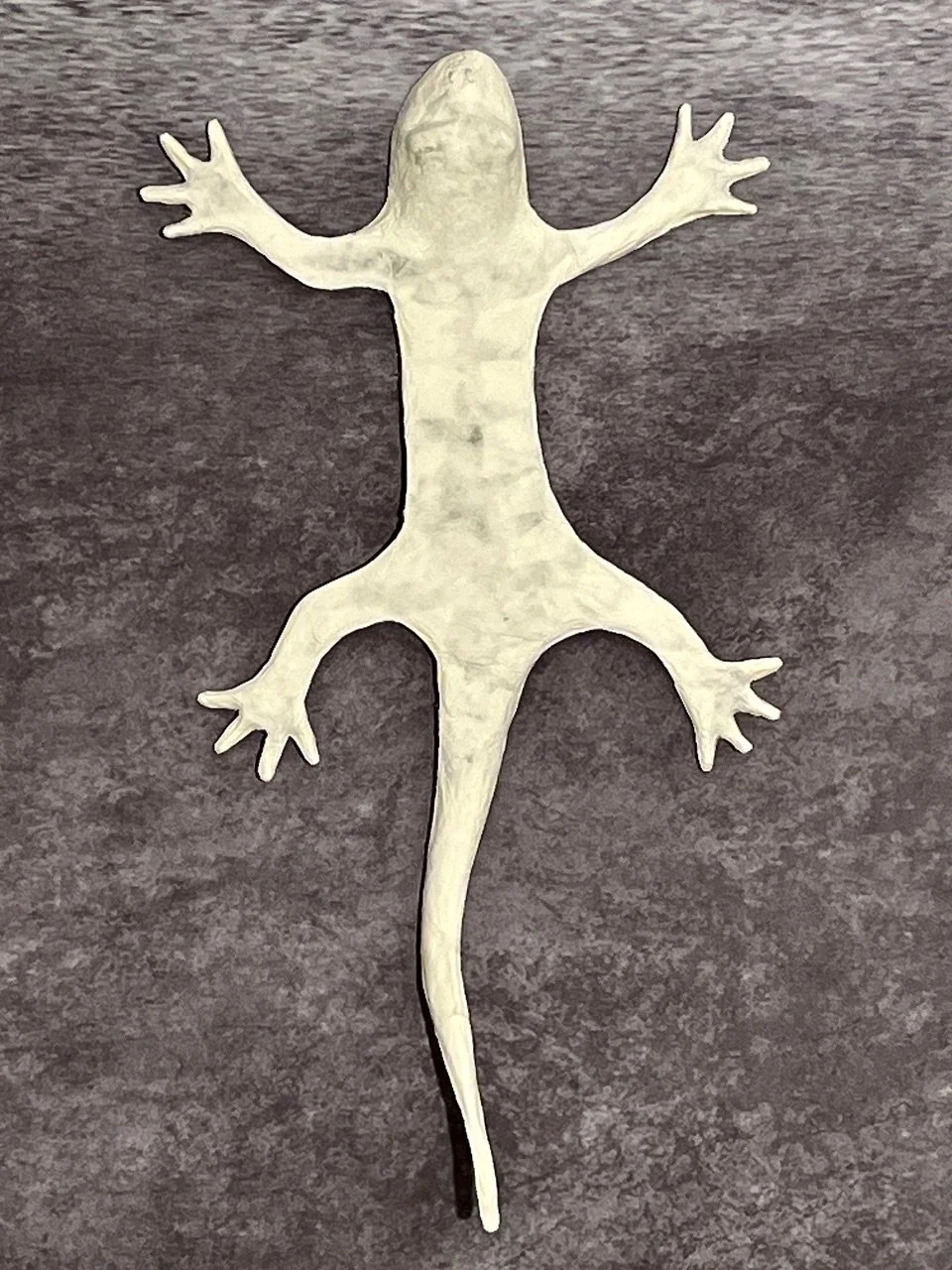 California tiger salamander.jpeg