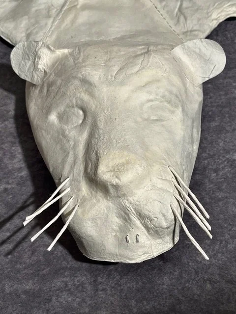Sumatran Tiger (face).jpeg