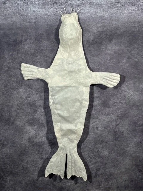 Caribbean Monk Seal