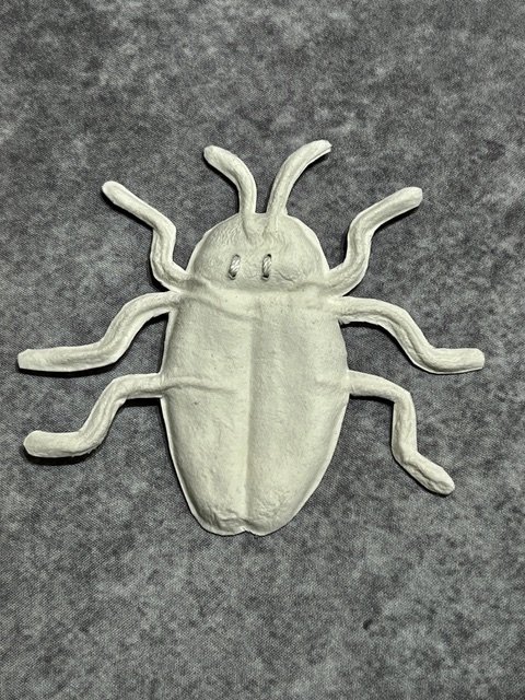 British Jewel Beetle