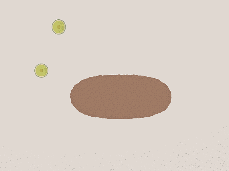 Asset 0