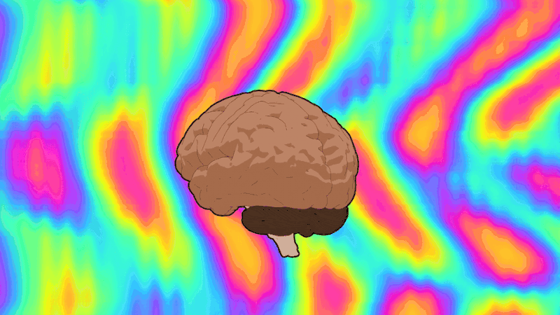 02 Brain Eyeball Morph_reduced-squarespace.gif