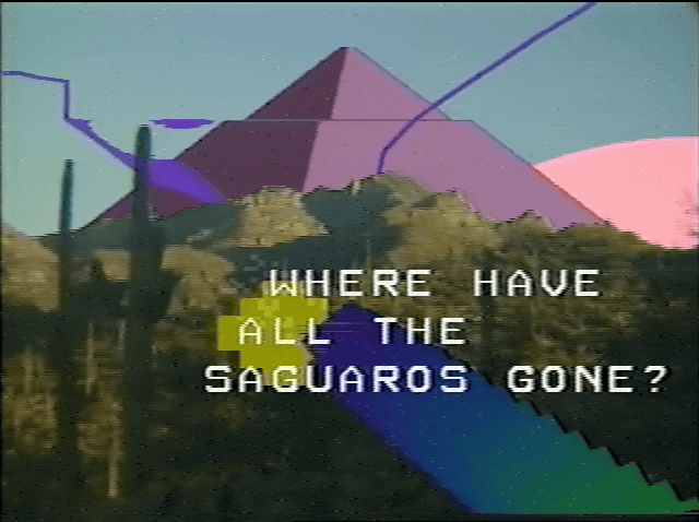 Video Art