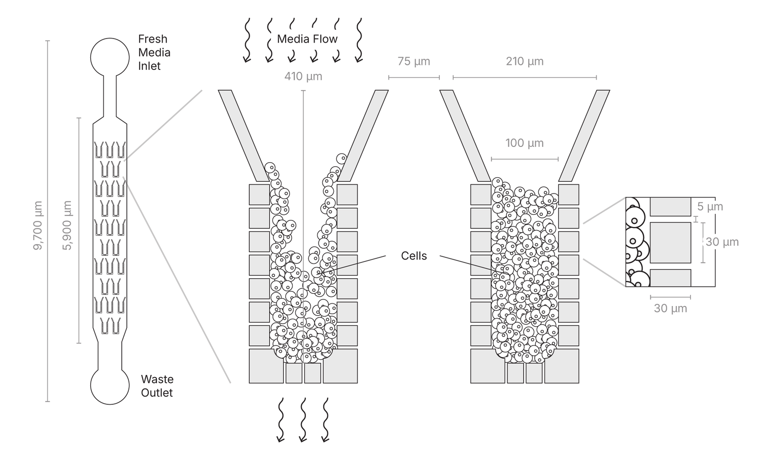 Research paper figure design for Birnbaum Lab, New York University