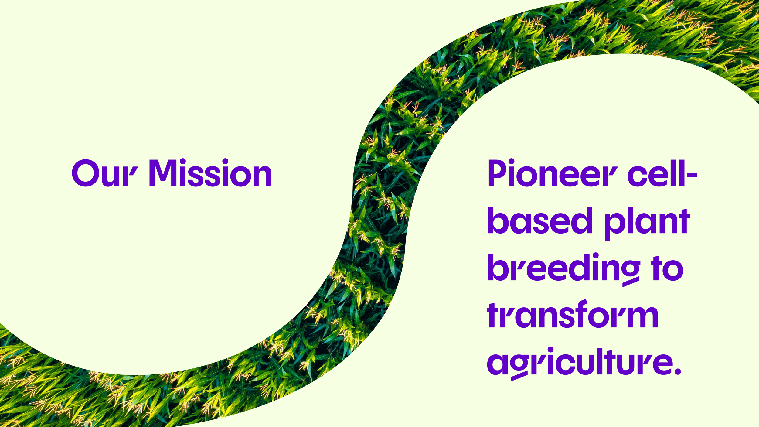 SCOR - Our Mission.png
