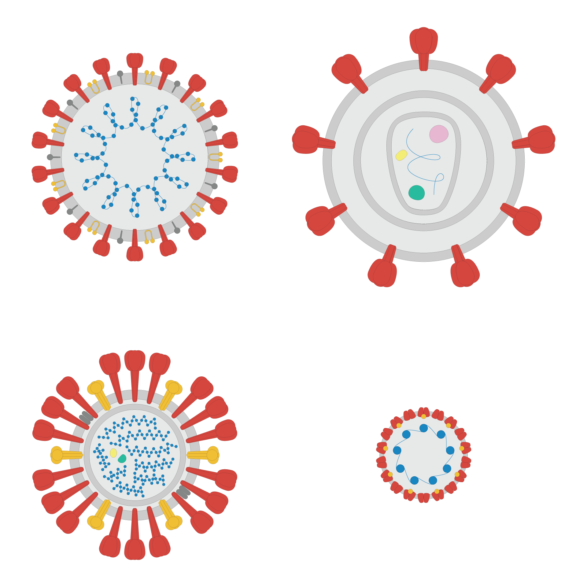 Putting COVID-19 Vaccines to the Test