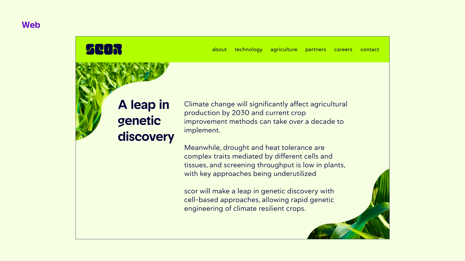 SCOR - Website.png