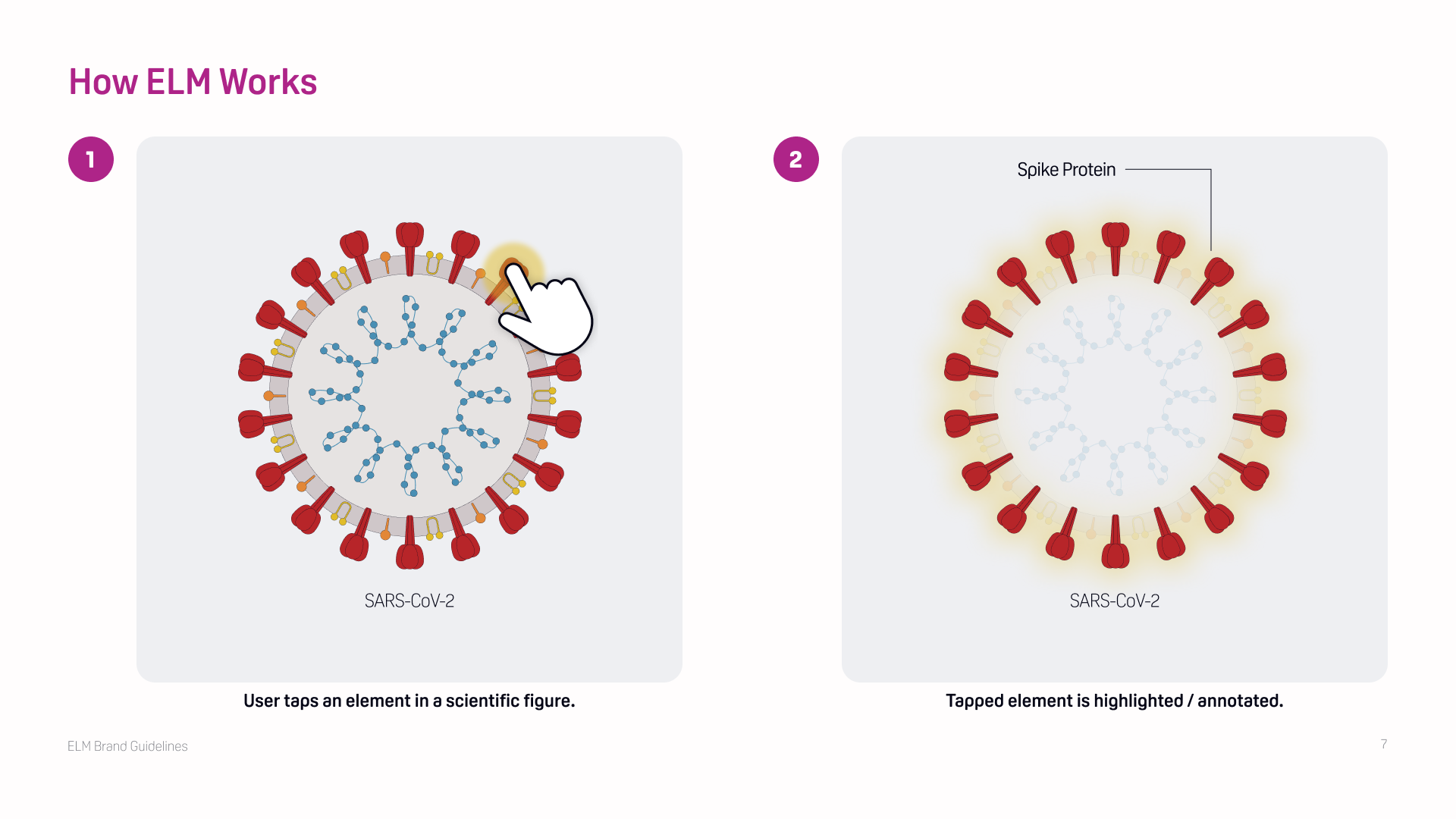 How ELM Works Part 1.png