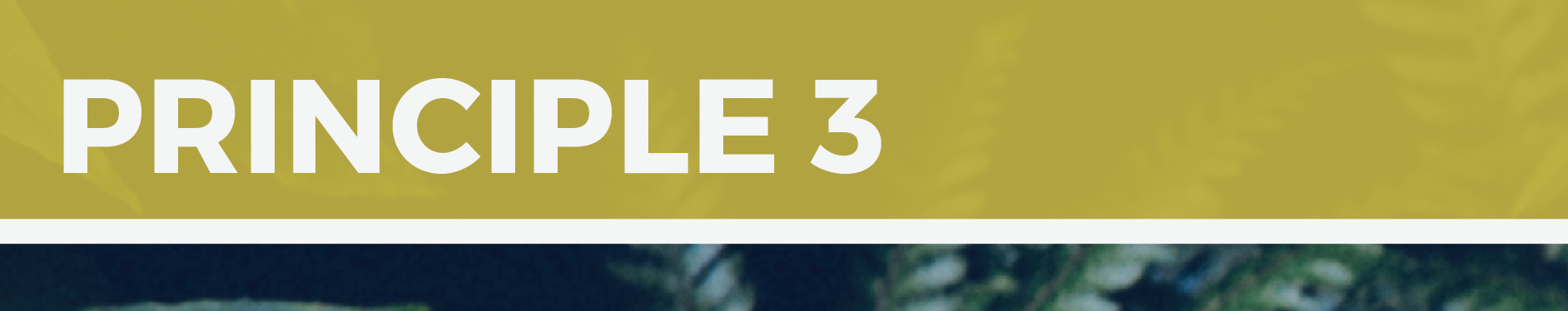 Screen Shot 2016-09-30 at 10.28.19 am.png