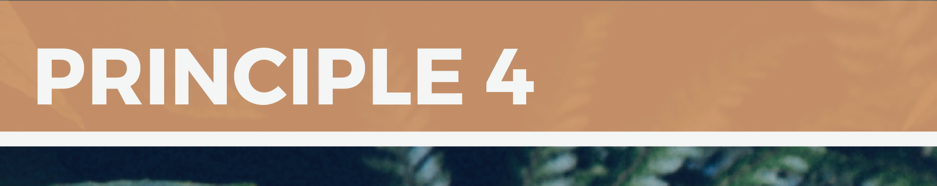 Screen Shot 2016-09-30 at 10.28.27 am.png