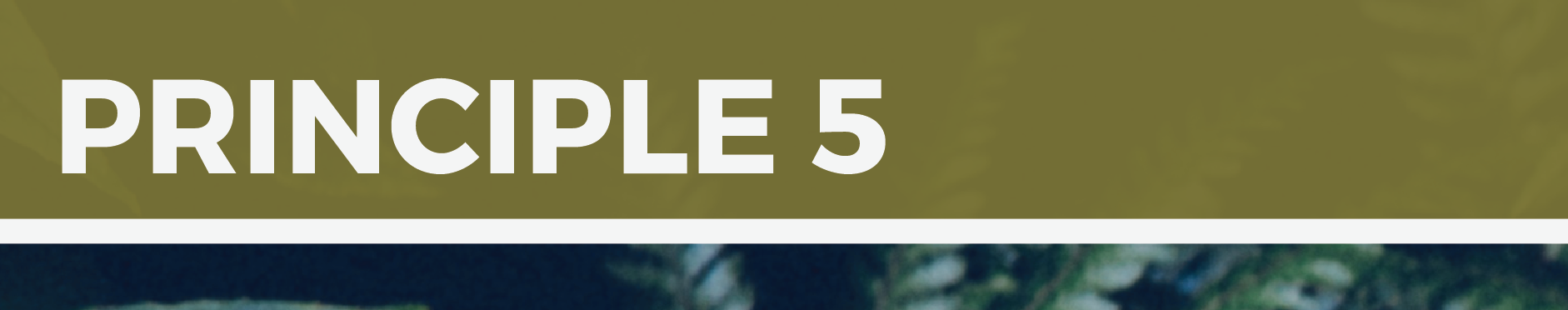 Screen Shot 2016-09-30 at 10.28.38 am.png