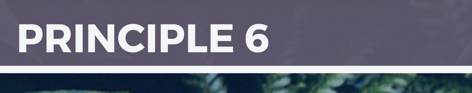 Screen Shot 2016-09-30 at 10.28.49 am.png