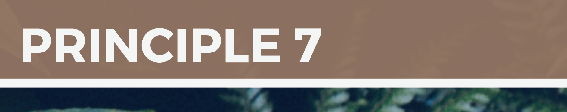 Screen Shot 2016-09-30 at 10.28.59 am.png