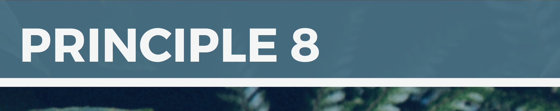 Screen Shot 2016-09-30 at 10.29.10 am.png