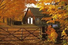 Stumptown Management Rural Properties near Portland