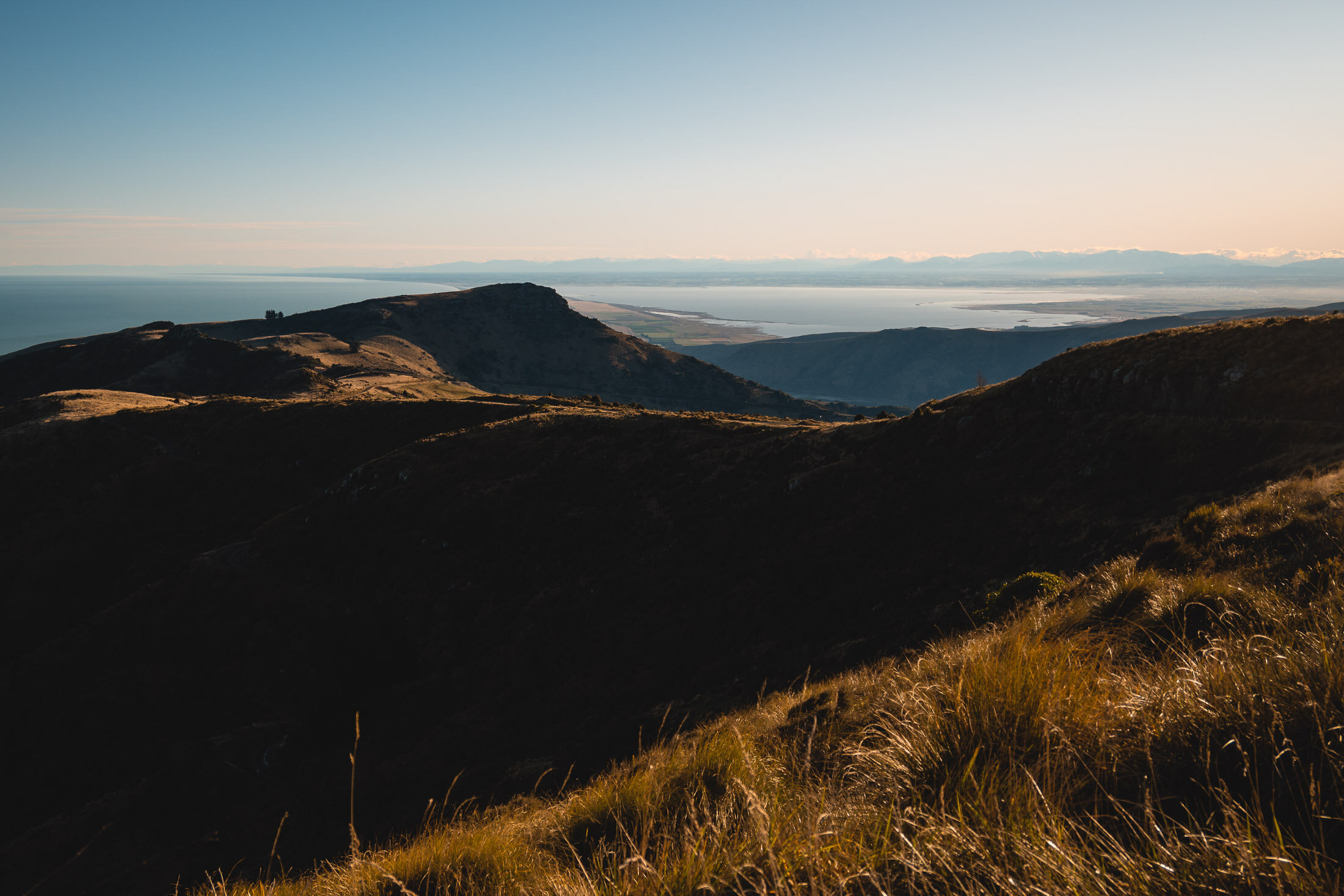 JF_WEBSITE - Dog Walks_Saddle Hill-1034.jpg