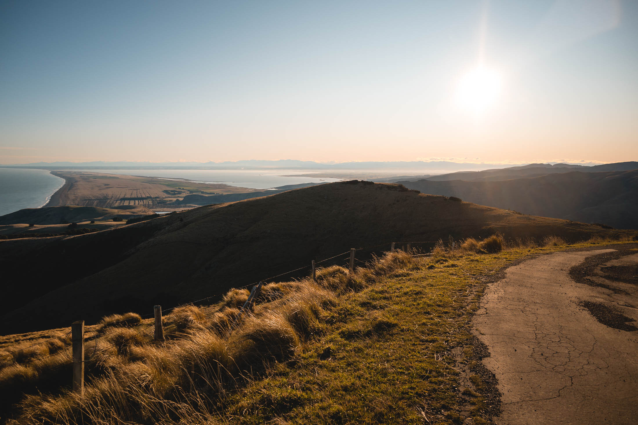 JF_WEBSITE - Dog Walks_Saddle Hill-1046.jpg