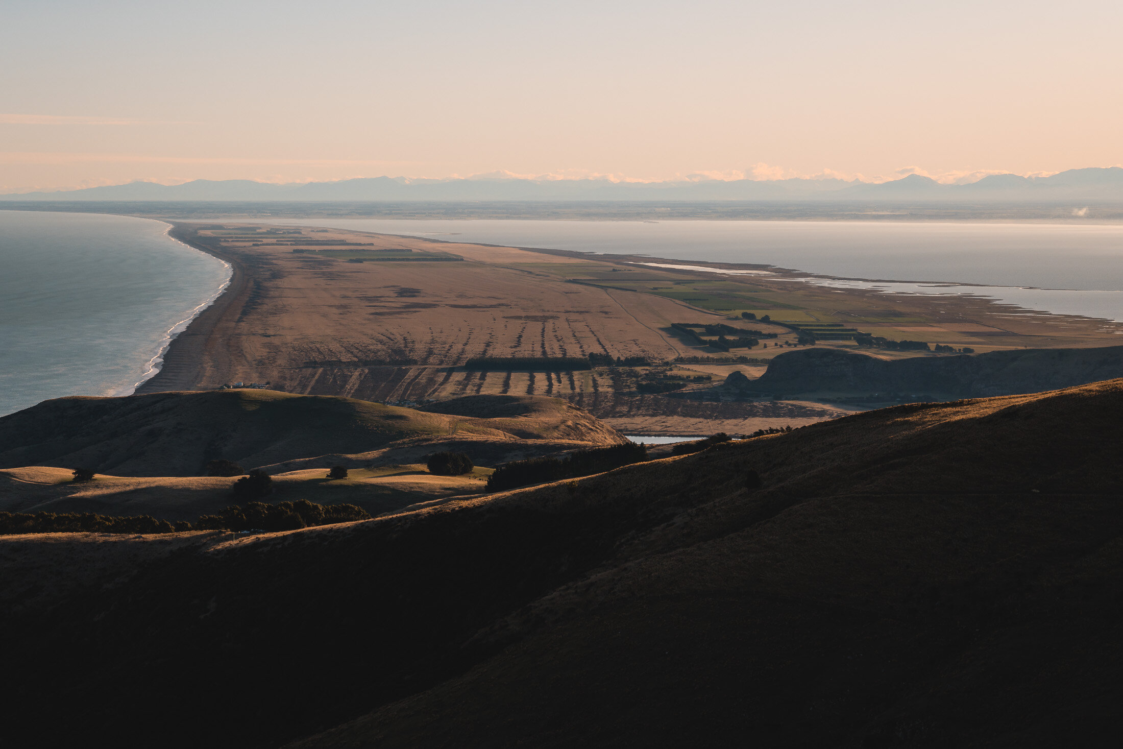 JF_WEBSITE - Dog Walks_Saddle Hill-1048.jpg