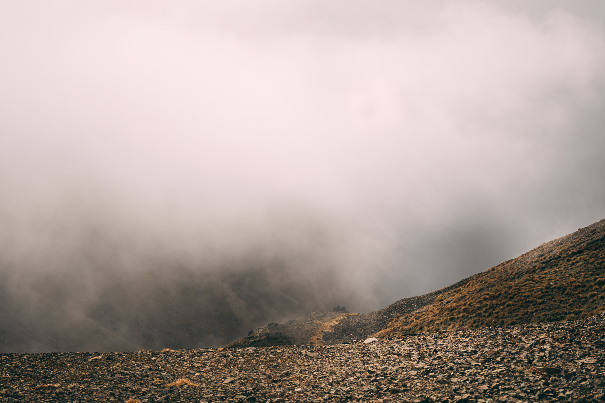 JF_Dog Walks Mt Harper -3564.jpg