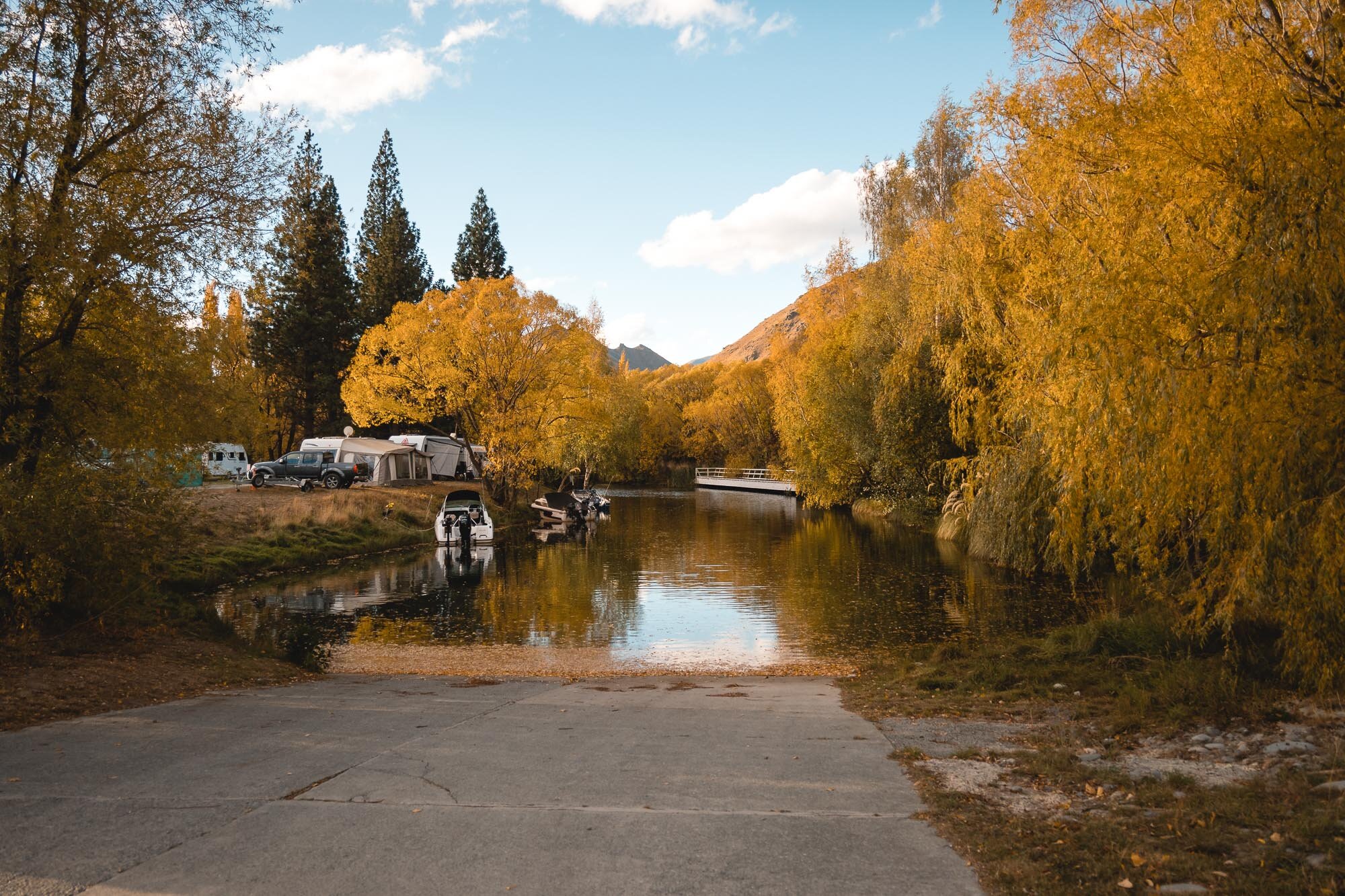 JF_Dog Walks Benmore and Wetland -4512.jpg