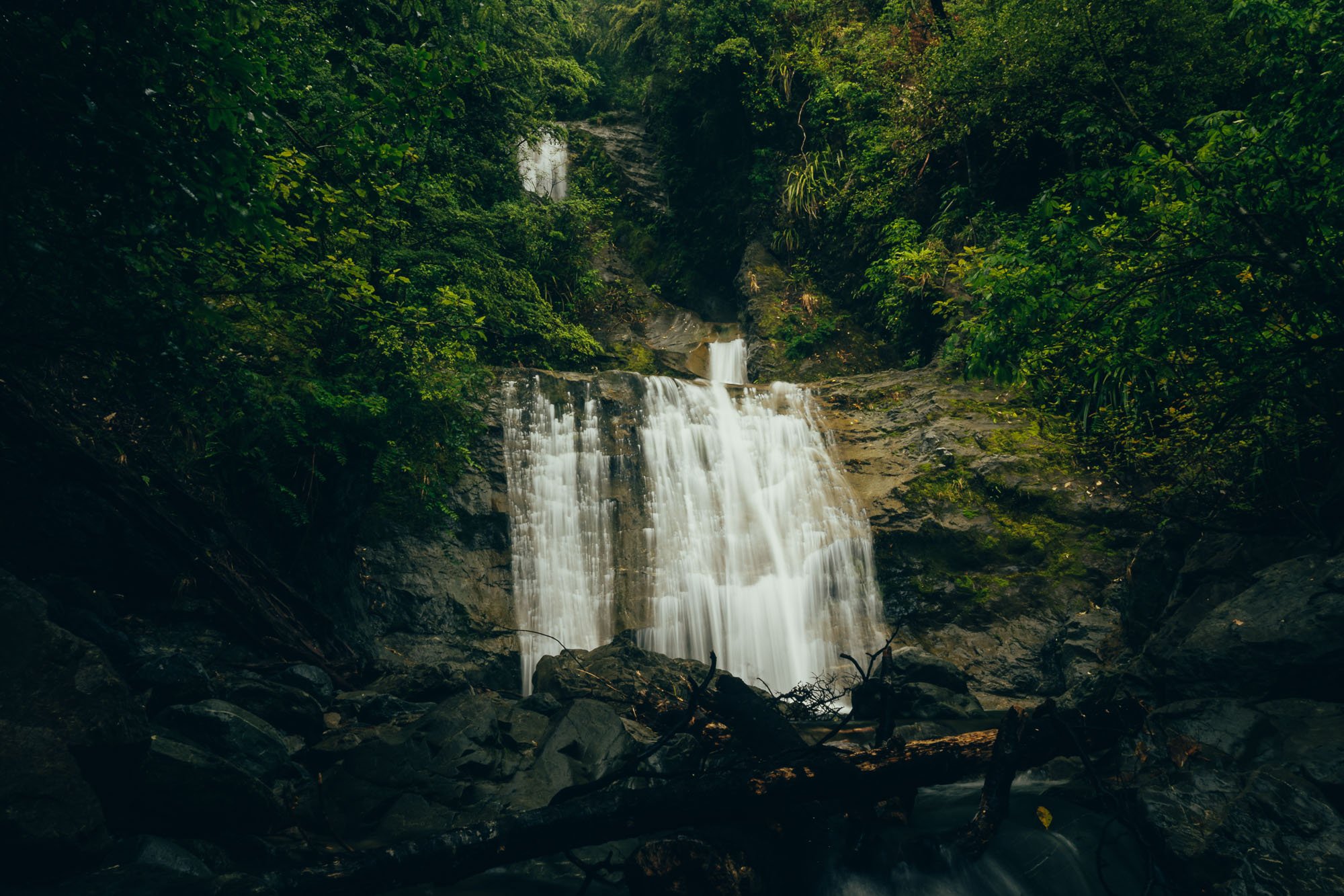 JF_Dog Walks Ryde Falls-6356.jpg