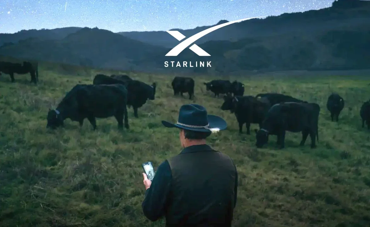 Halter Starlink Global Campaign Jay French