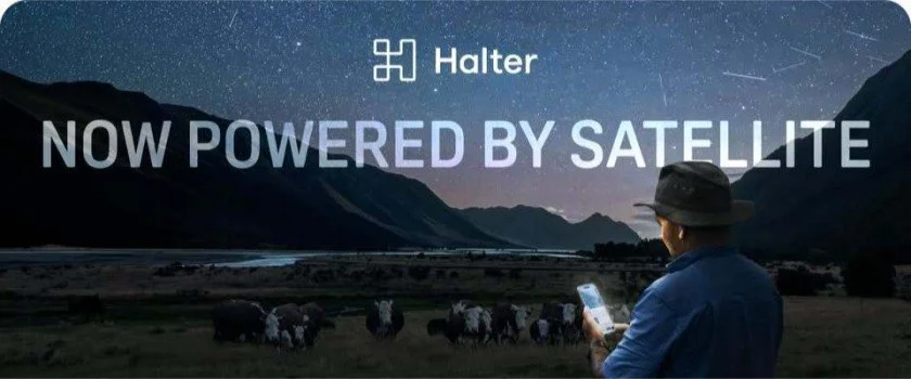 Halter global campaign Jay French