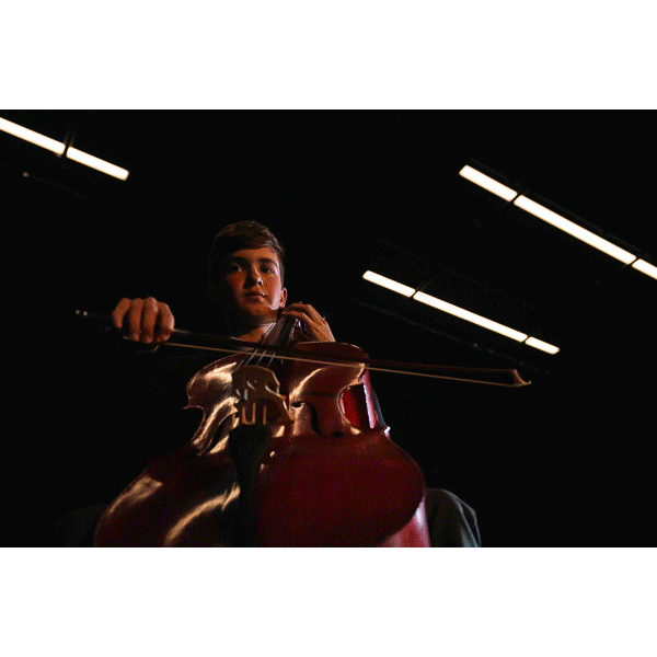 SAS-Small.gif