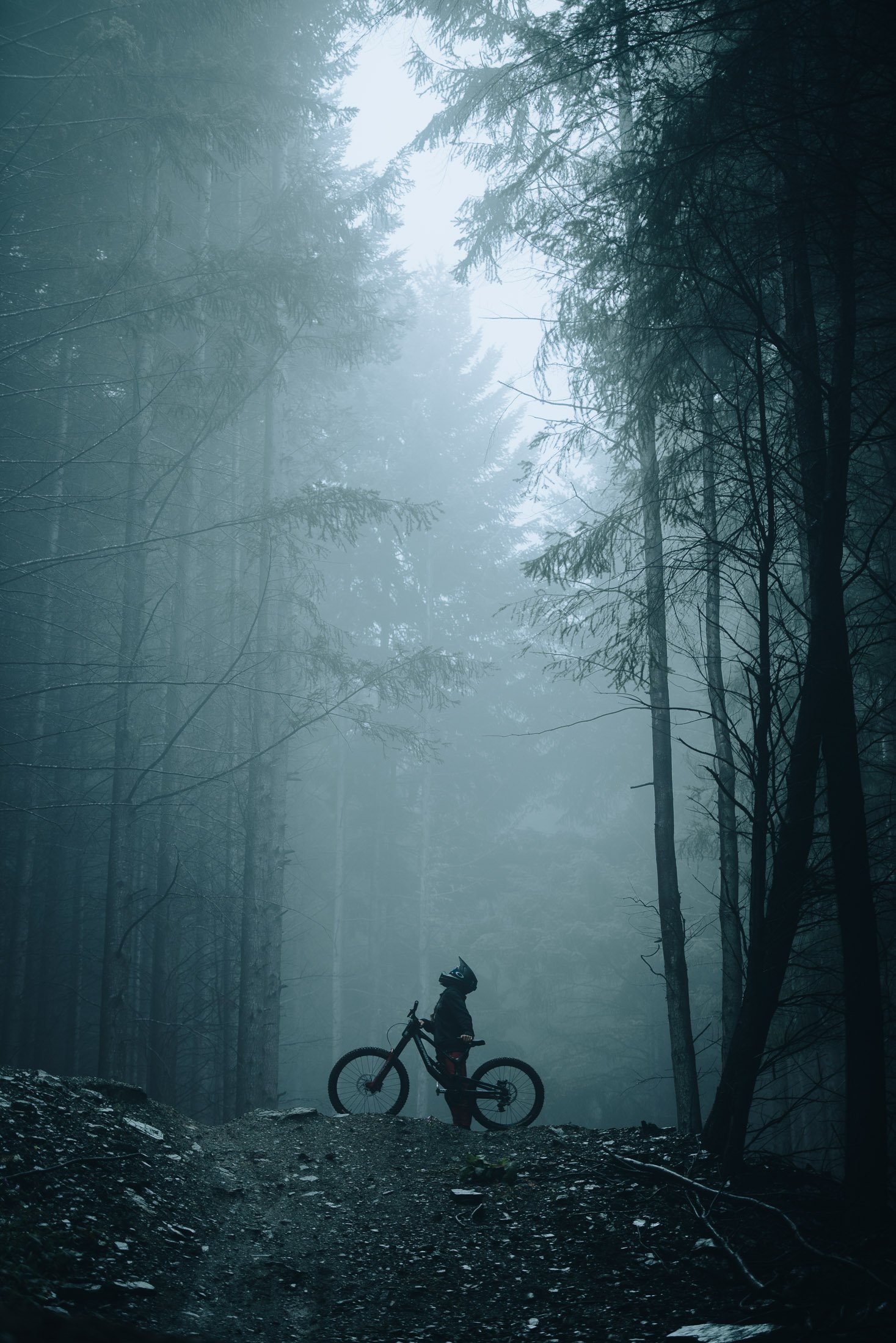 Jay French Photography OVERVIEW-45.jpg