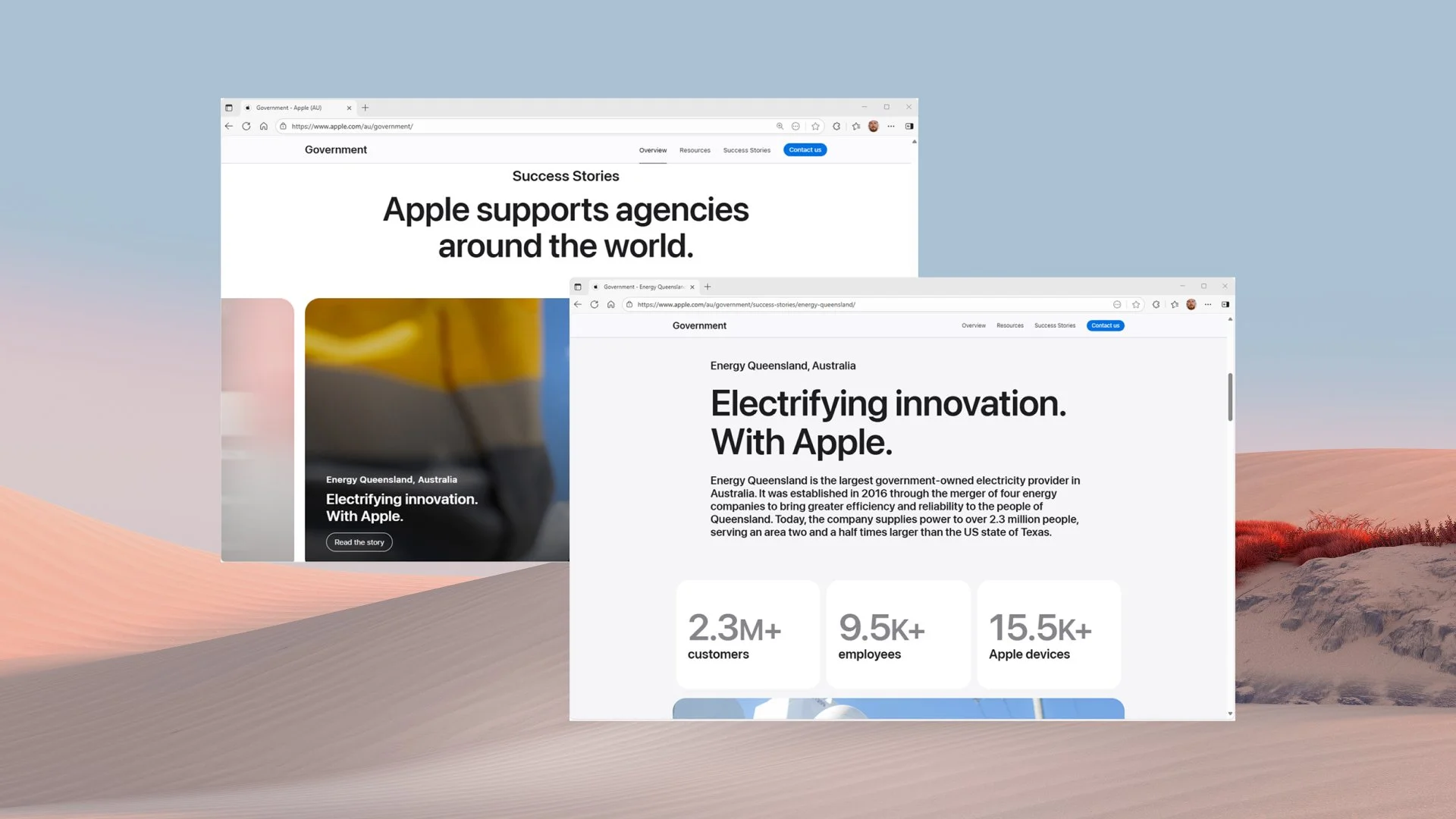 Apple Government (4).jpg