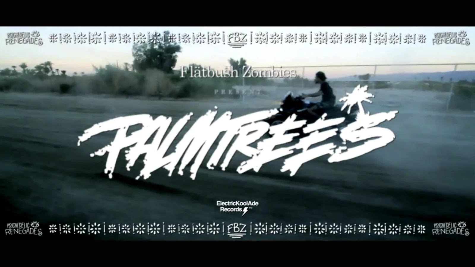 palm trees.jpg