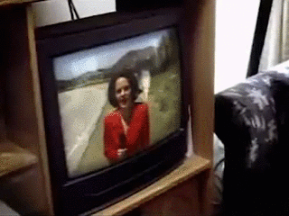 clip 3.gif