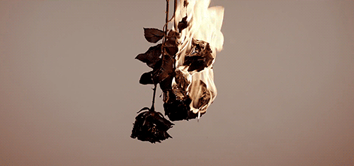 large.gif
