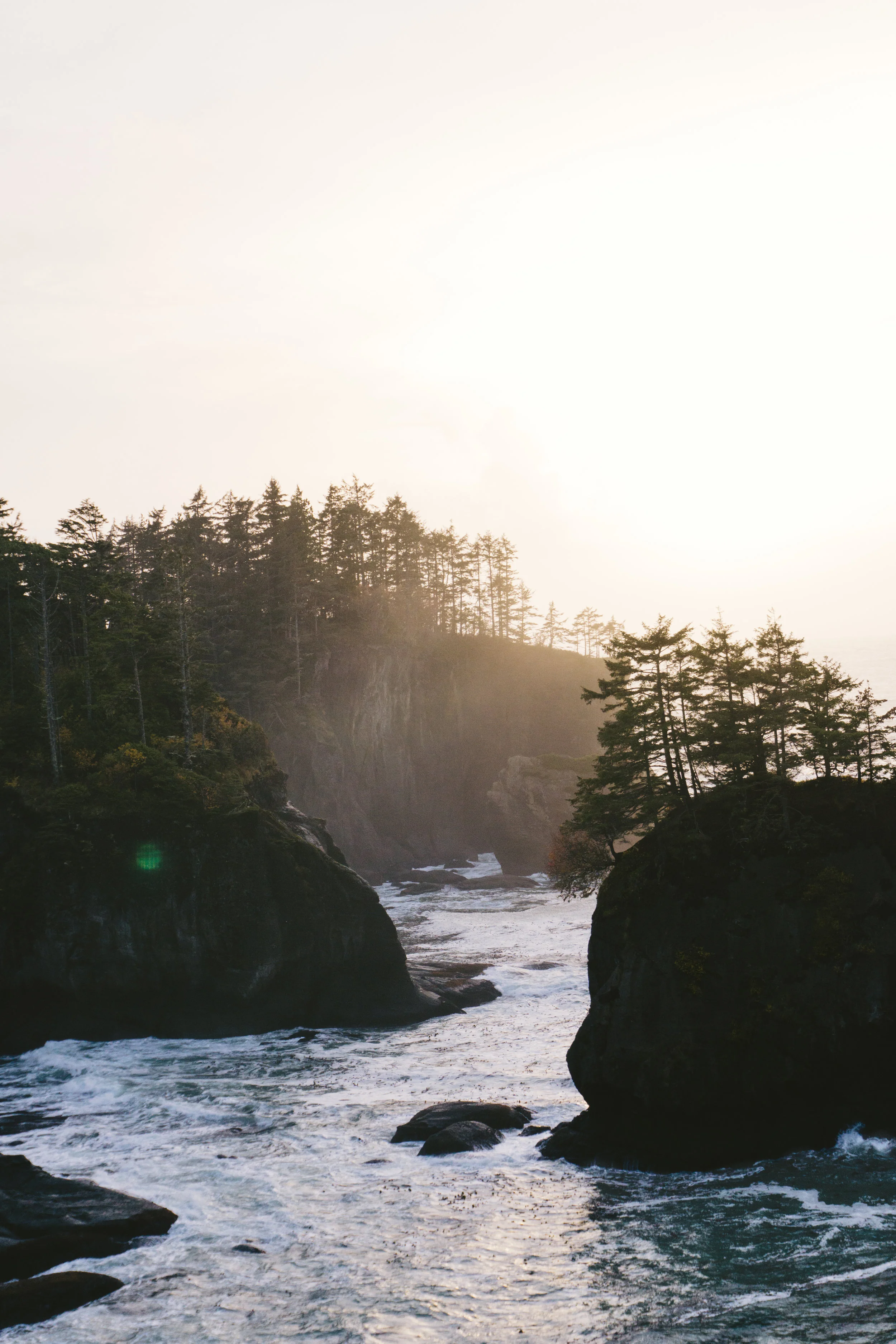 Olympic-CapeFlattery-02267.jpg