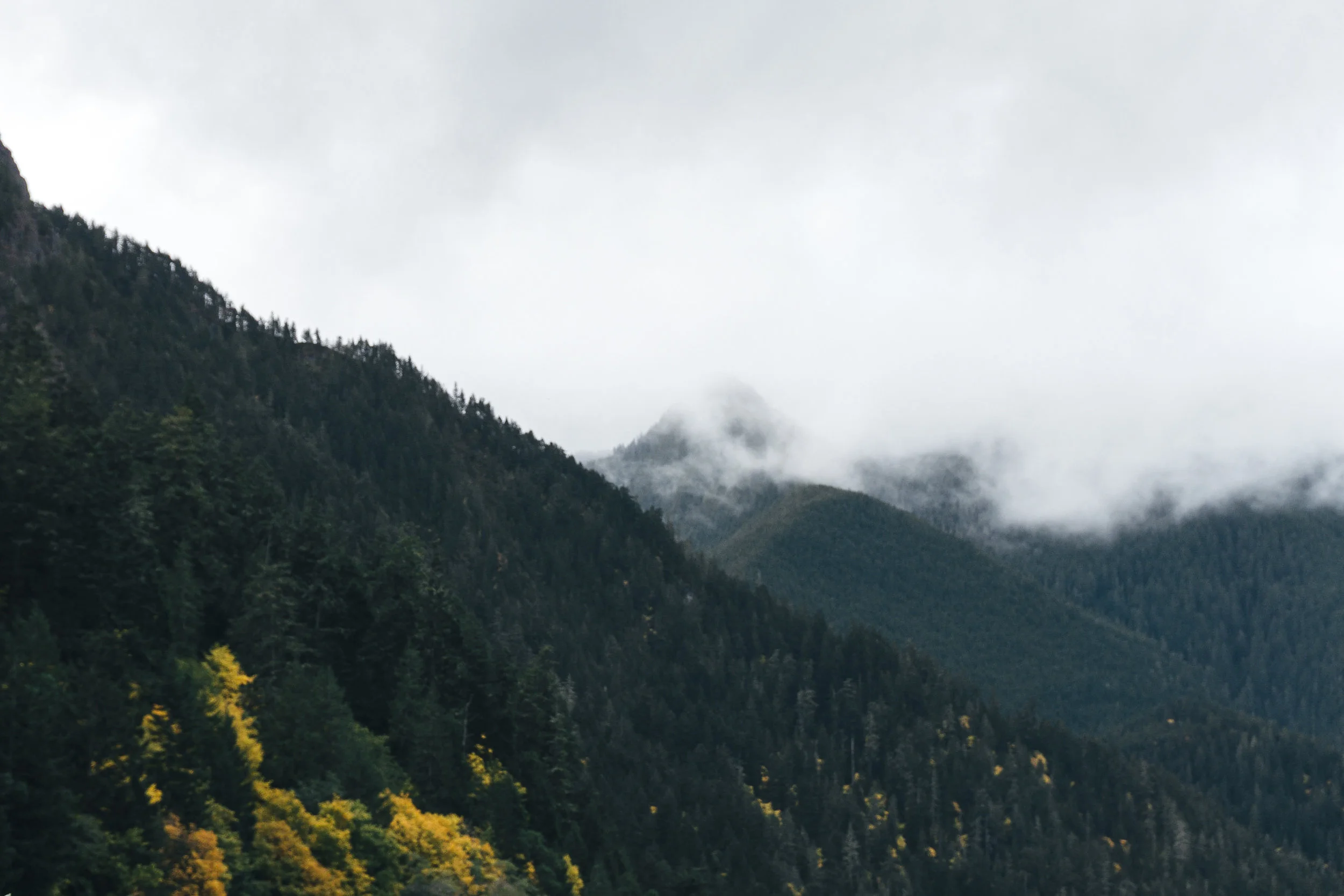 Olympic-LakeCrescent-02754.jpg
