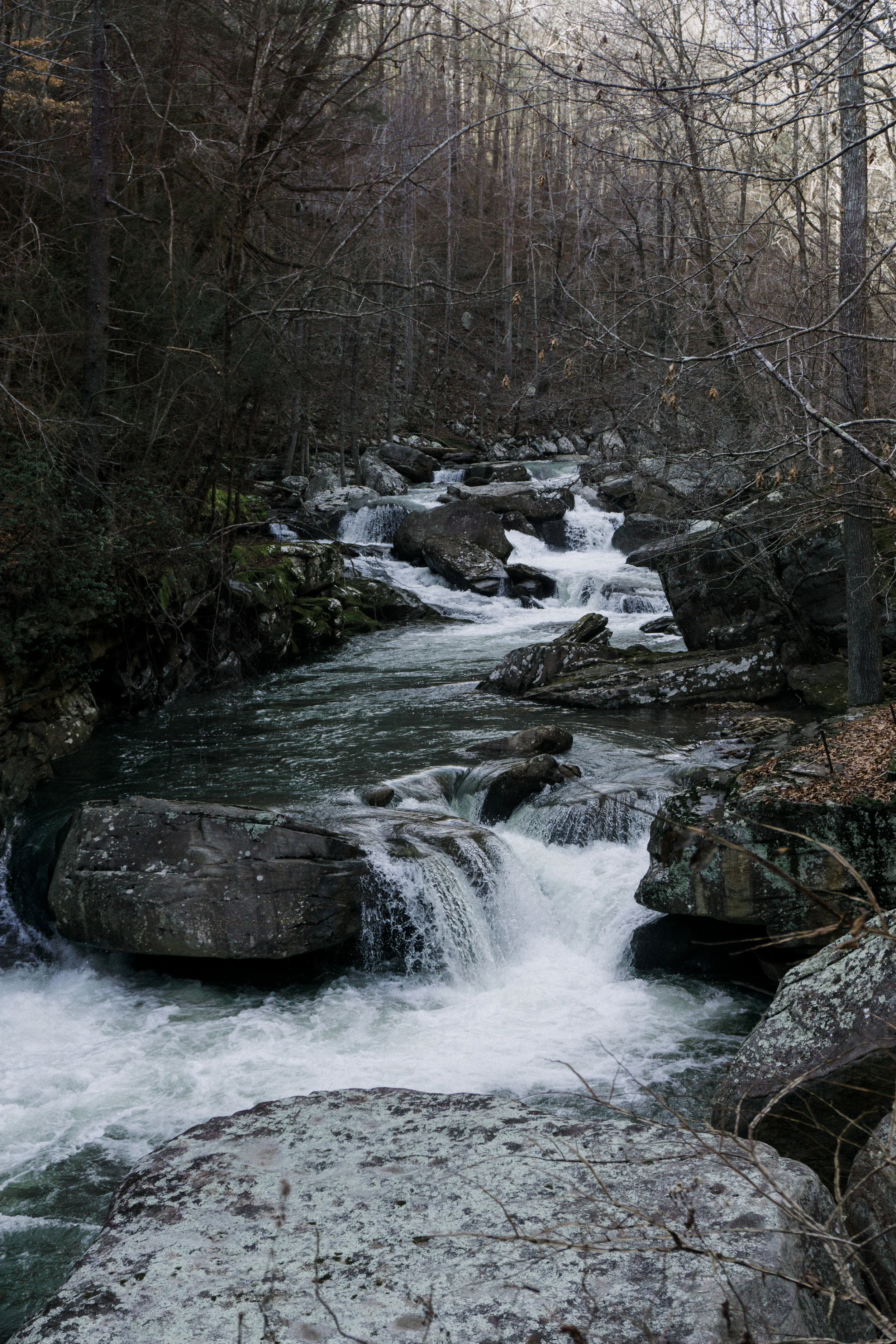 LaurelSnow-64.jpg