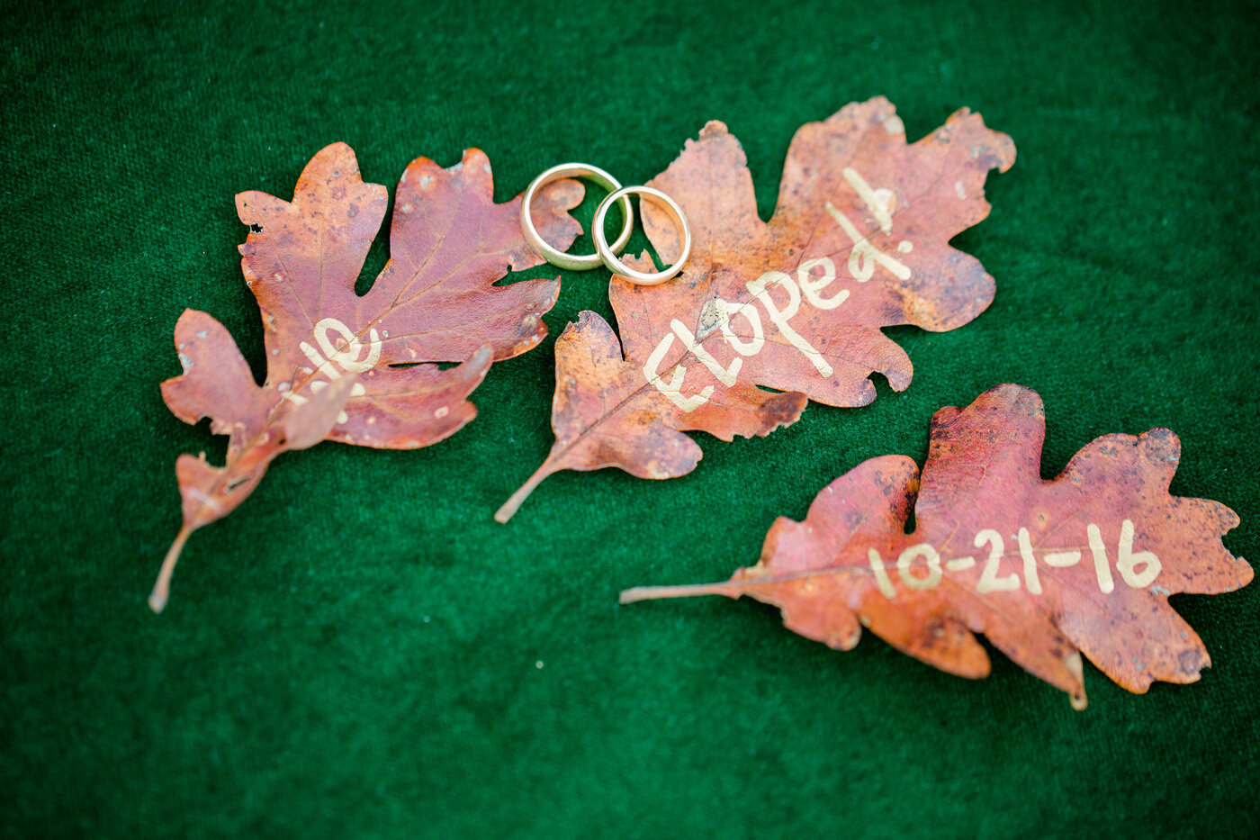 Wedding rings on oak leaves with We Eloped signage