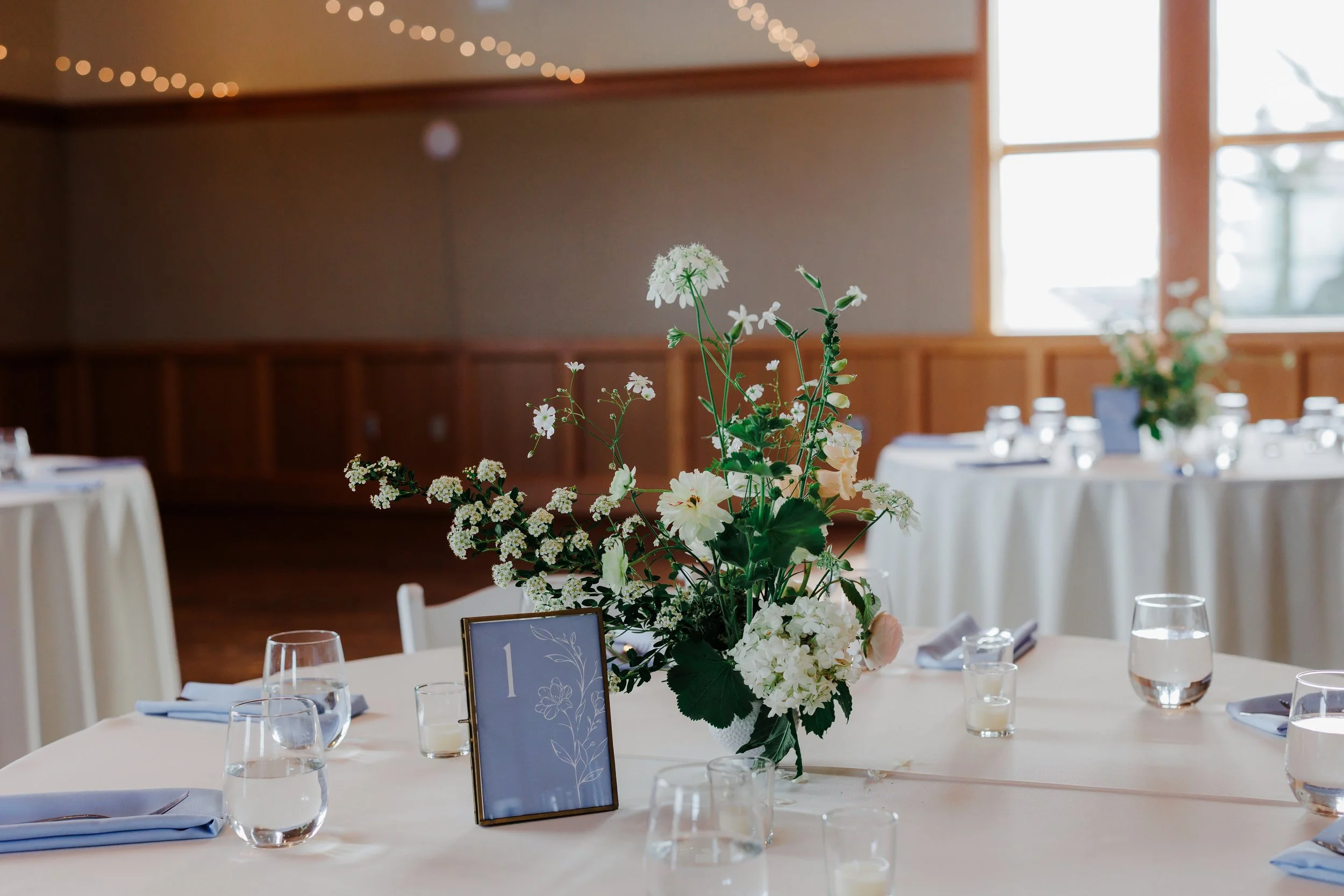 Photo by MJ Photography (Copy)