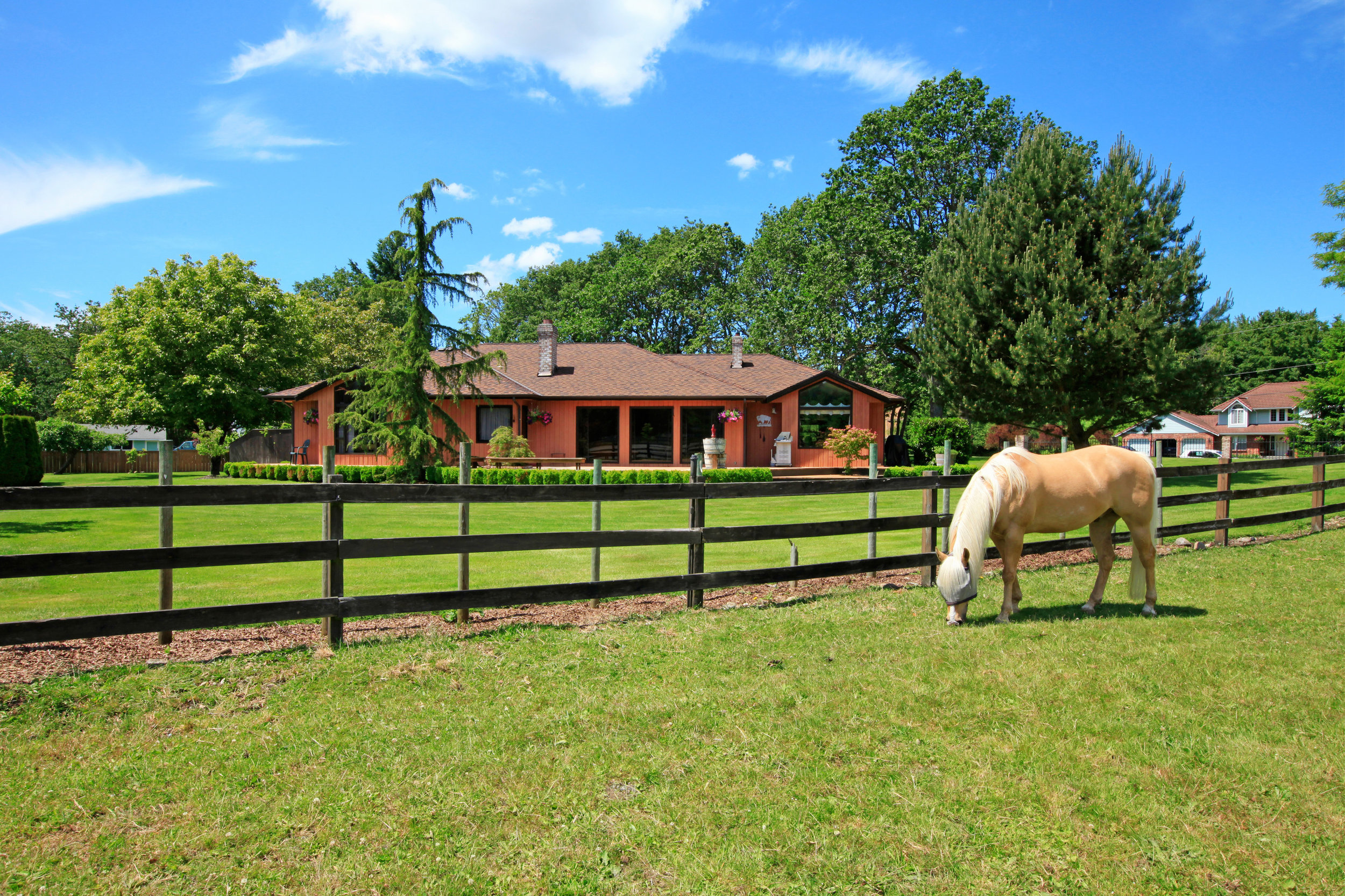 rural land for sale nz