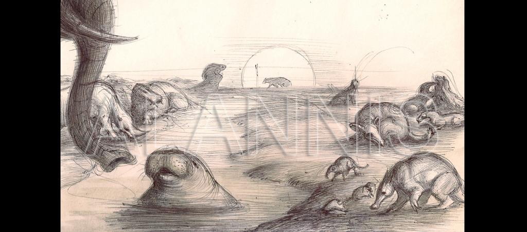 Early sketch for Afrotherian Systematics