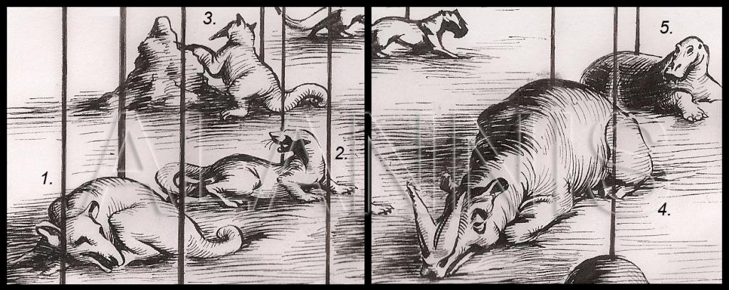 Fig. 2- Representative Afrotherians Vol. 1: 1. The Bibymalagasian Plesiorycteropus 2. The Ptolemaiid Ptolemaia 3. The Afredentate (?) Eurotamandua 4. The Embrythopod Arsinoitherium 5. The Desmostylian Paleoparadoxia